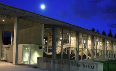 冬季加拿大必游胜地 蓝鲸市集等五大冰雪奇缘之旅